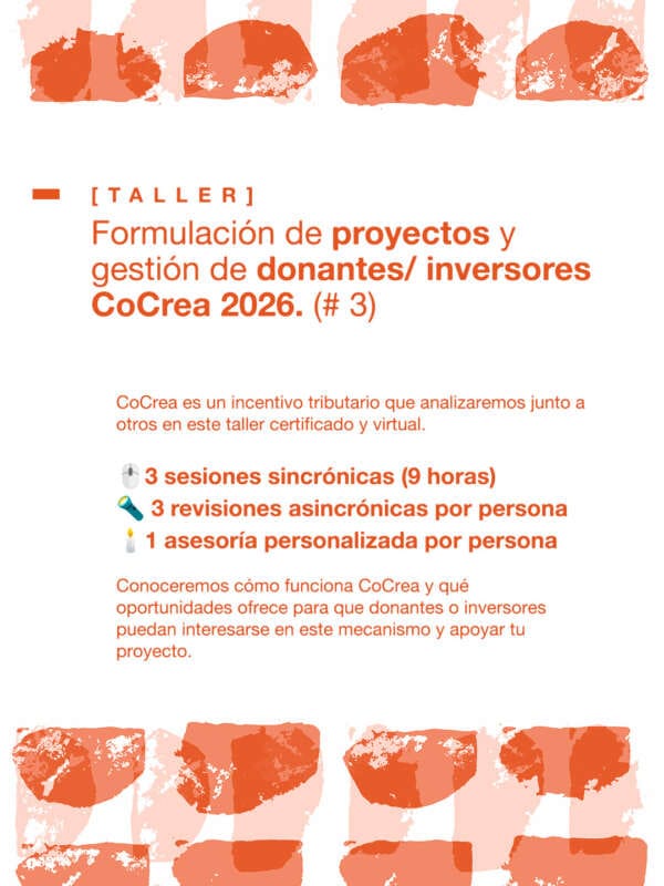 Taller de formulación de proyectos y gestión de donantes/ inversores CoCrea 2025.